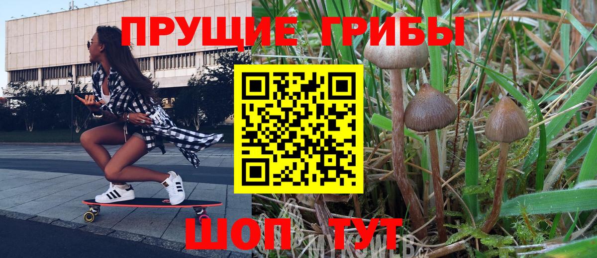 Псилоцибиновые грибы мухоморы Новосибирск