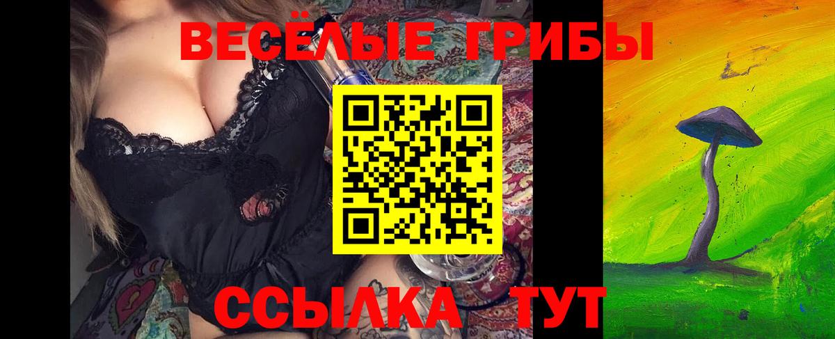 Новосибирск  Псилоцибиновые грибы прущие грибы  Вход с VPN 
